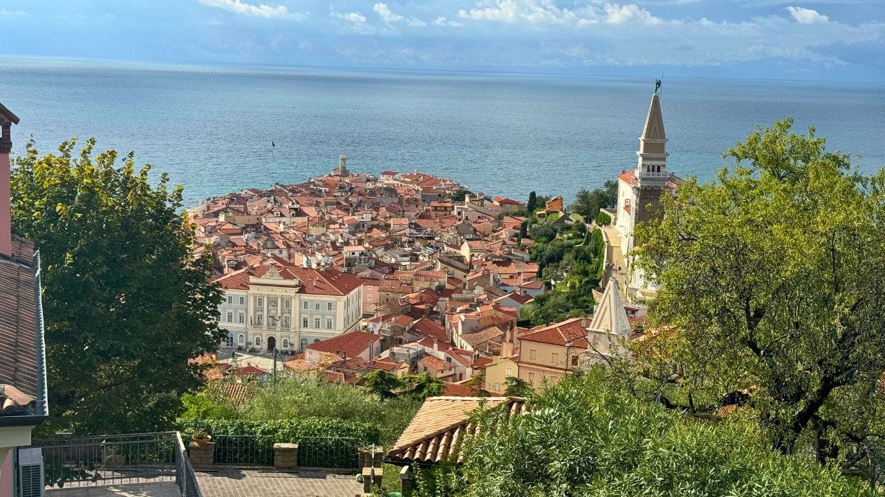 Aerial view of red-roofed buildings near waterfront in Piran