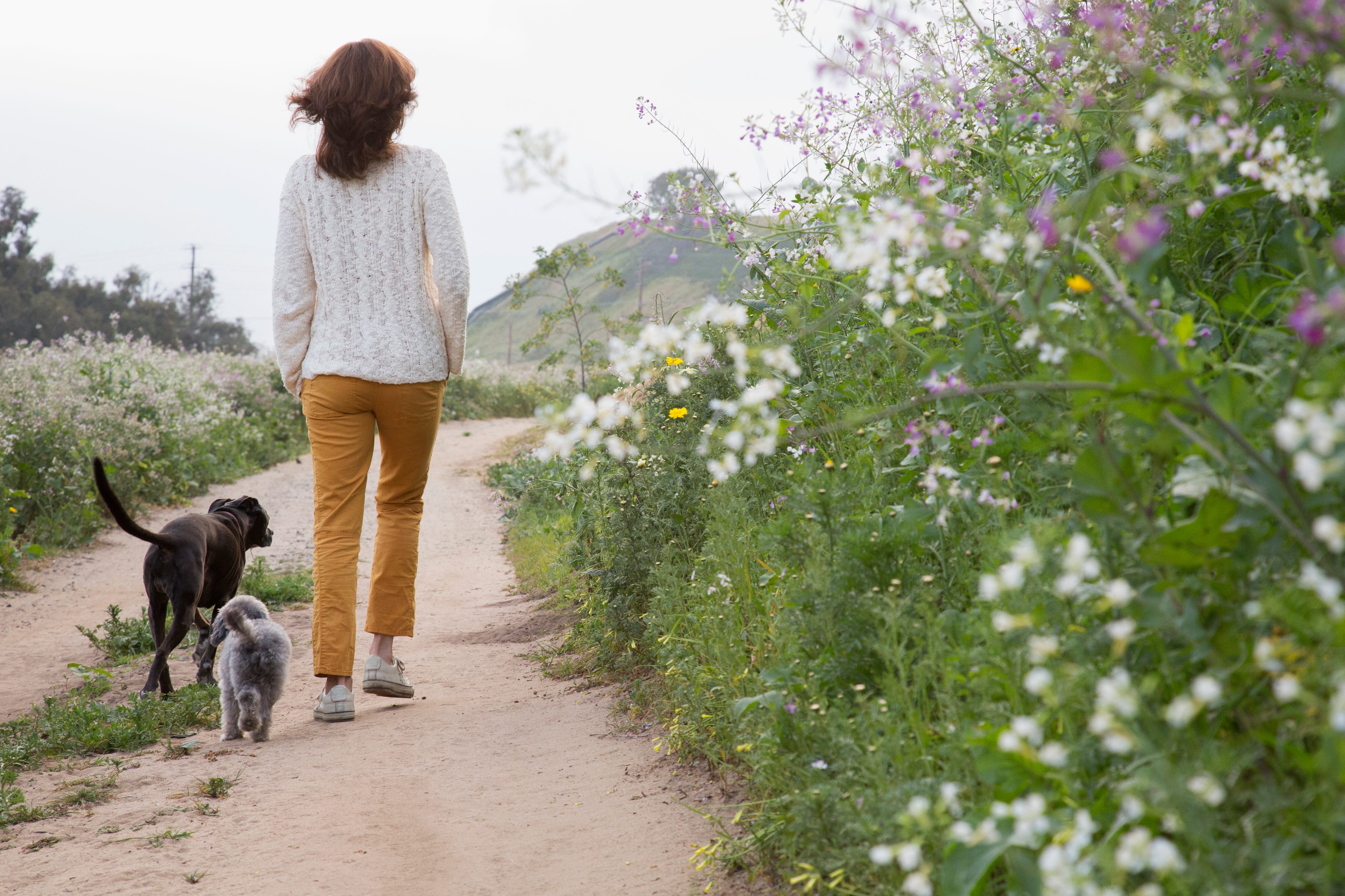 A woman walking her dogs