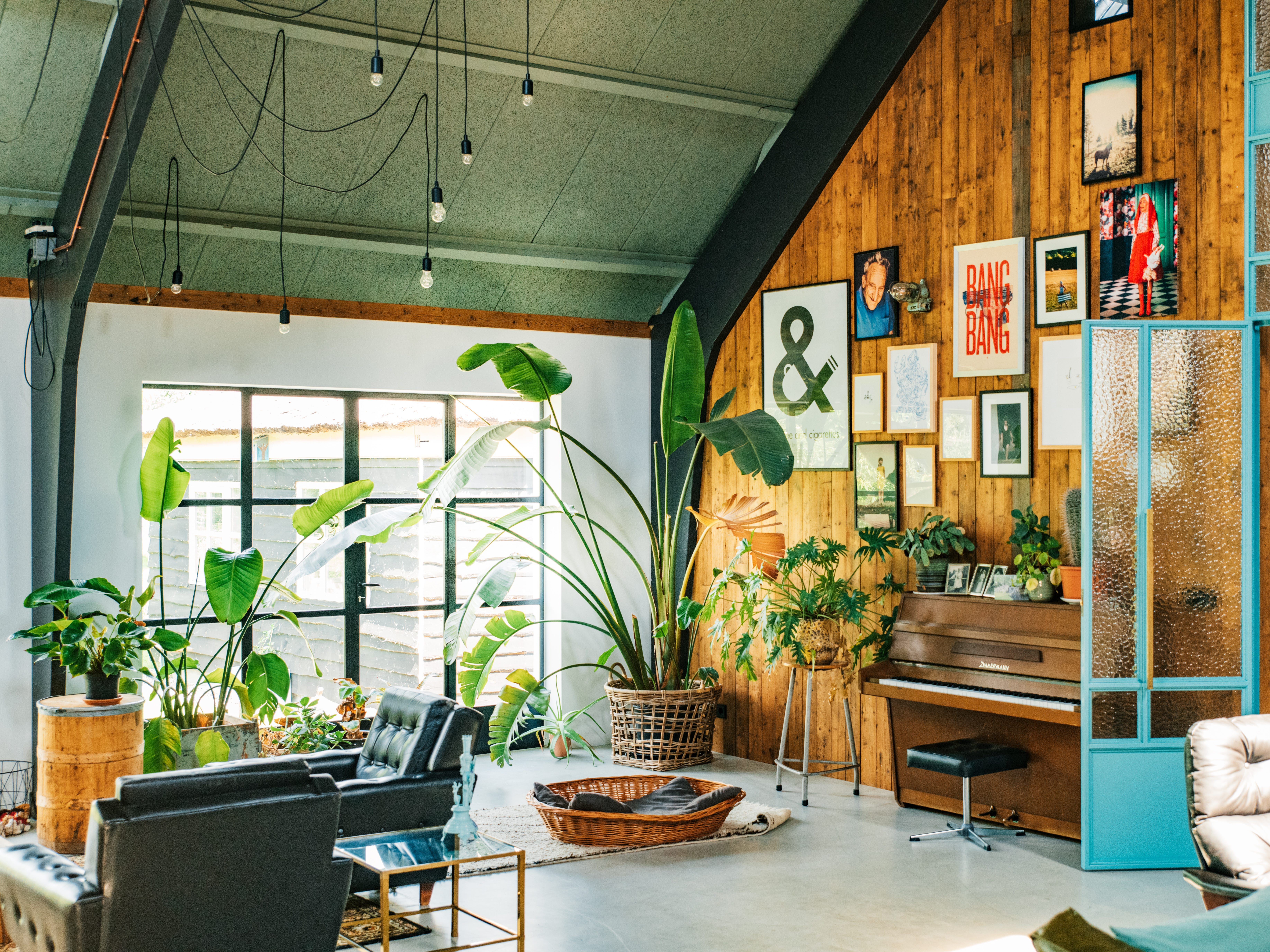 A living room with a green ceiling and lightbulbs hanging down from it, a wooden wall with personal art pieces, and plants throughout the space.