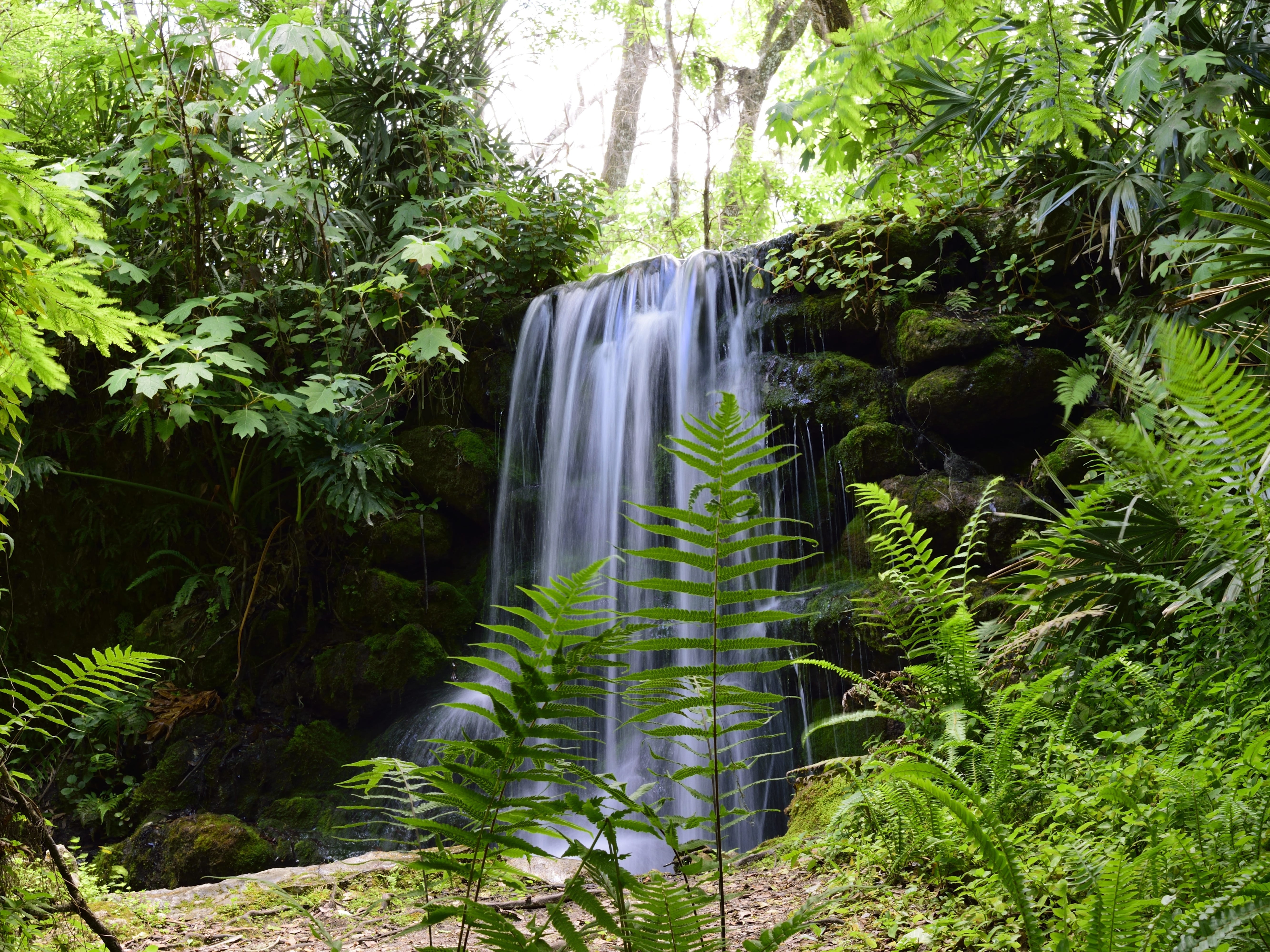 A small waterfall cascading over rocks, surrounded by lush green vegetation at Rainbow Springs State Park.