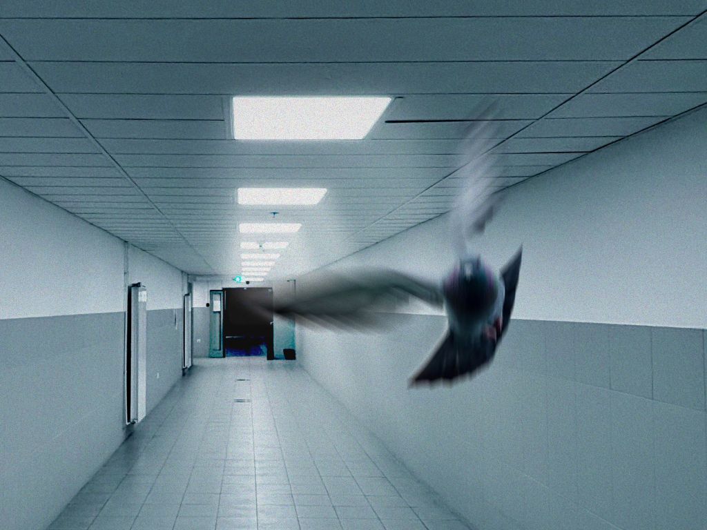 Karlovy Vary’s Eastern Promises Industry Section Announces Award Winners