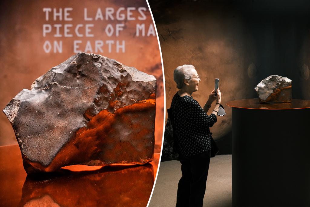 Largest Martian meteorite sells for a whopping $5.3M at auction: ‘Geological time capsule from another world’