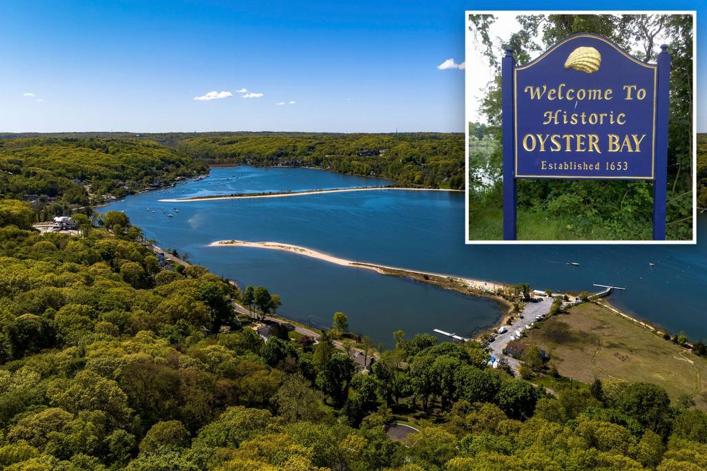 Long Island town admits grandma used as key witness to block mosque plan never existed