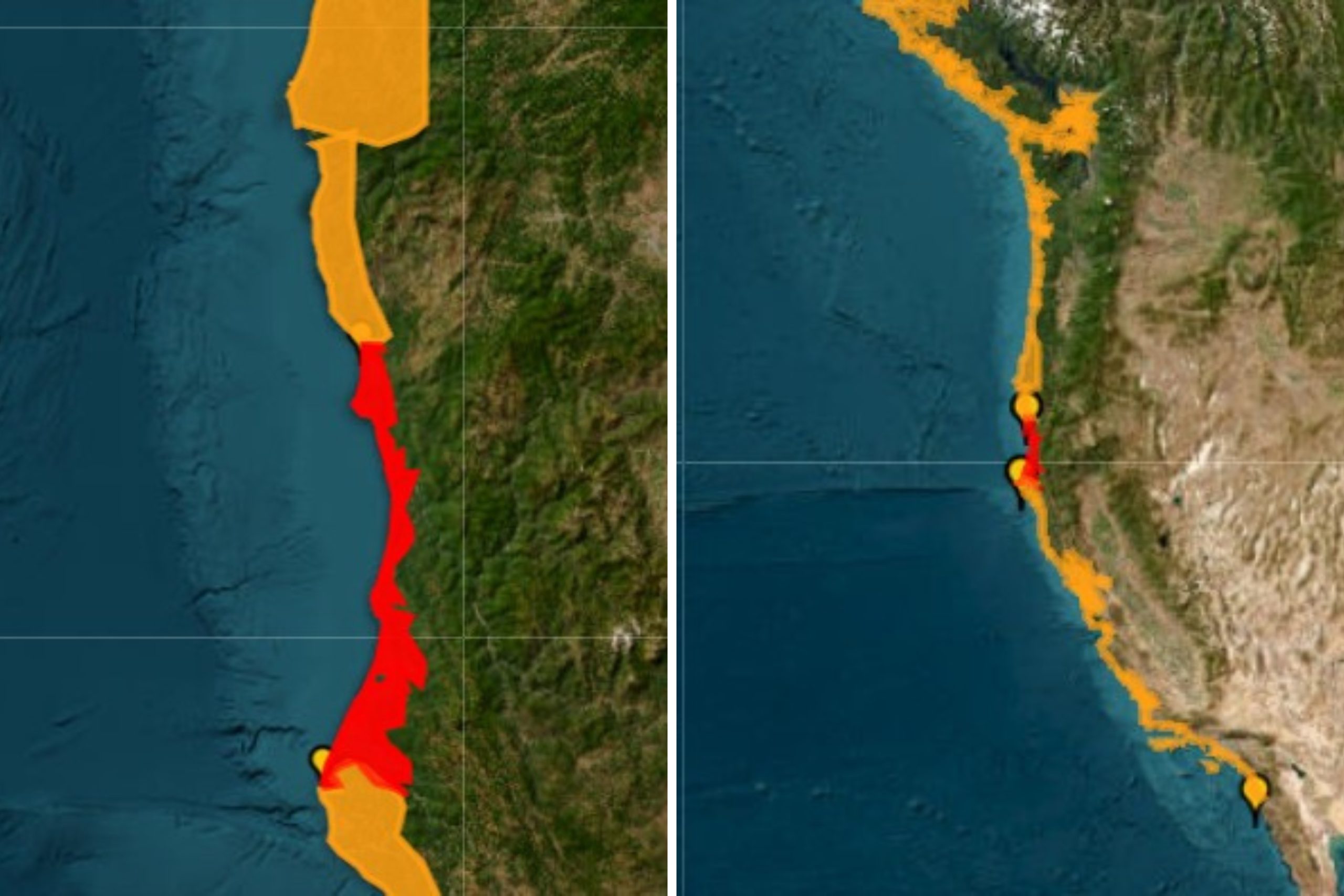 Sf tsunami twitter