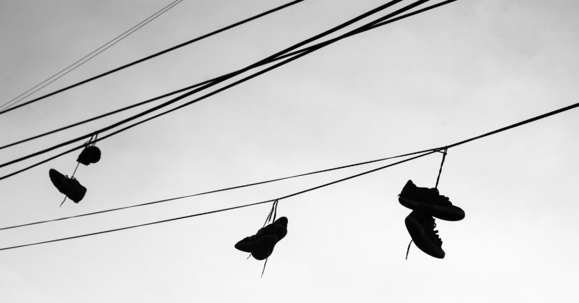 Mexico Is Using Pigs, Drones, and Lasers to Find Drug Cartel Victims