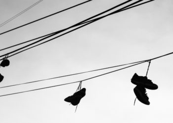 Mexico Is Using Pigs, Drones, and Lasers to Find Drug Cartel Victims