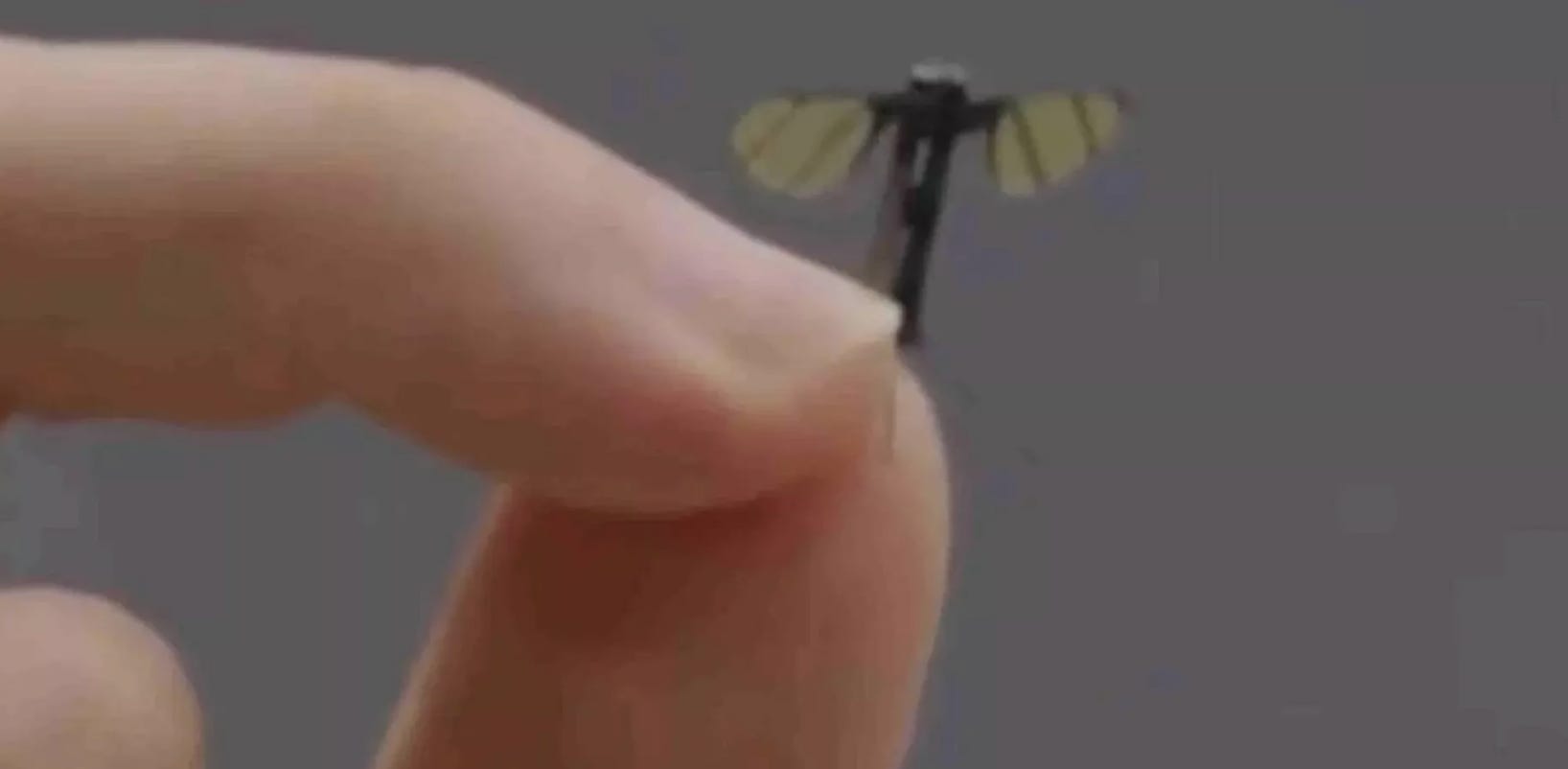 China showcased a new mosquito-sized spy drone.