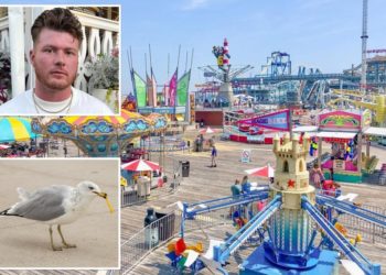 NJ man decapitates seagull that tried to steal French fry from daughter