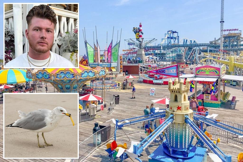 NJ man decapitates seagull that tried to steal French fry from daughter