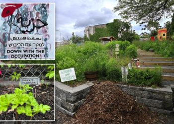 NYC garden of hate: Officials negotiate with anti-Israel community garden over ‘Poppies for Palestine’