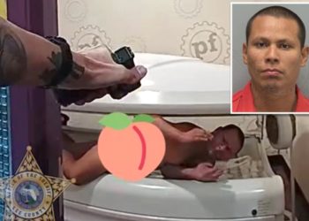 Naked Florida man found hiding in Planet Fitness tanning bed after starting fire, tearing down ceiling: ‘A little sun-kissed’