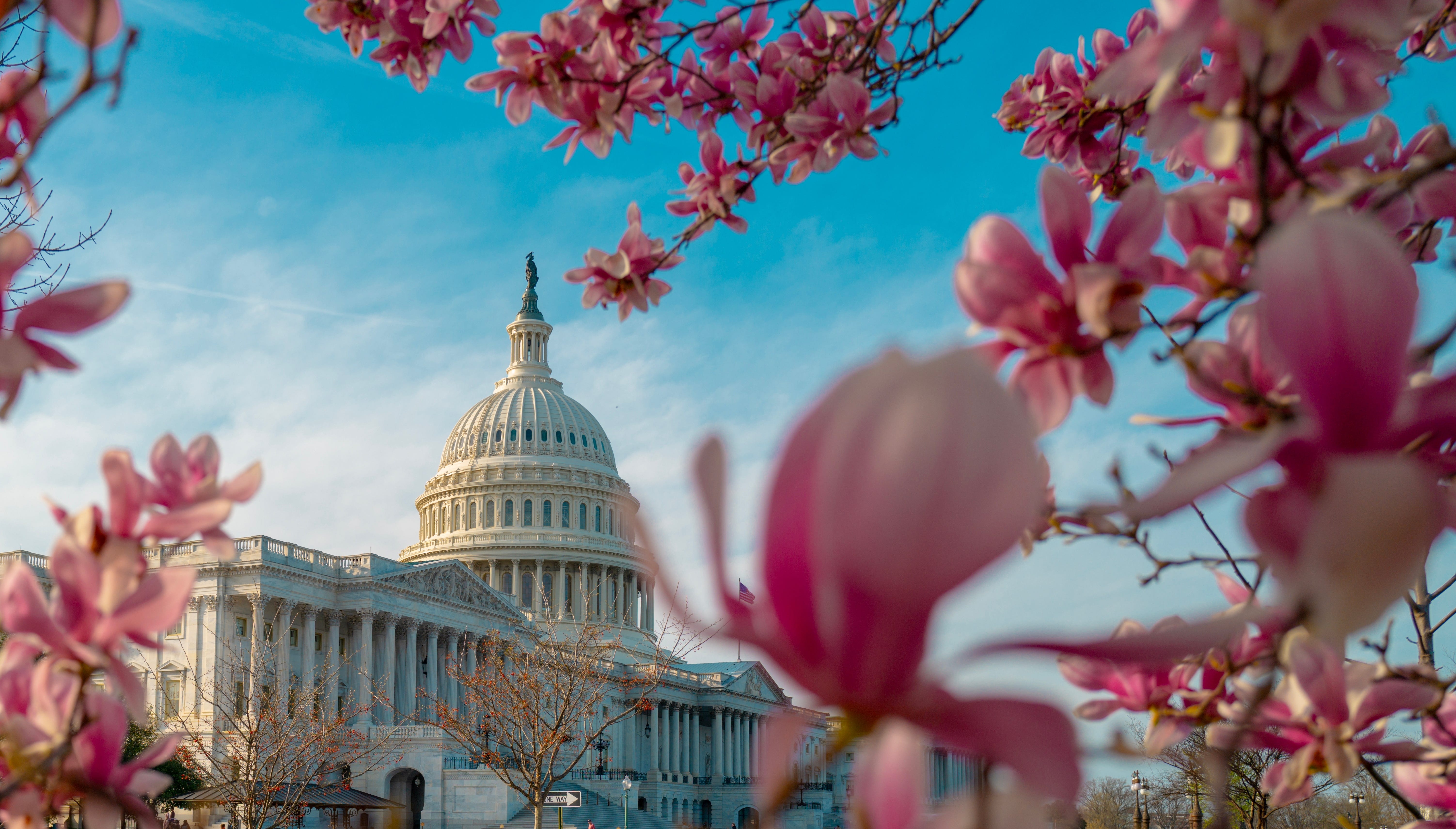 The US capitol in Washington, DC.
