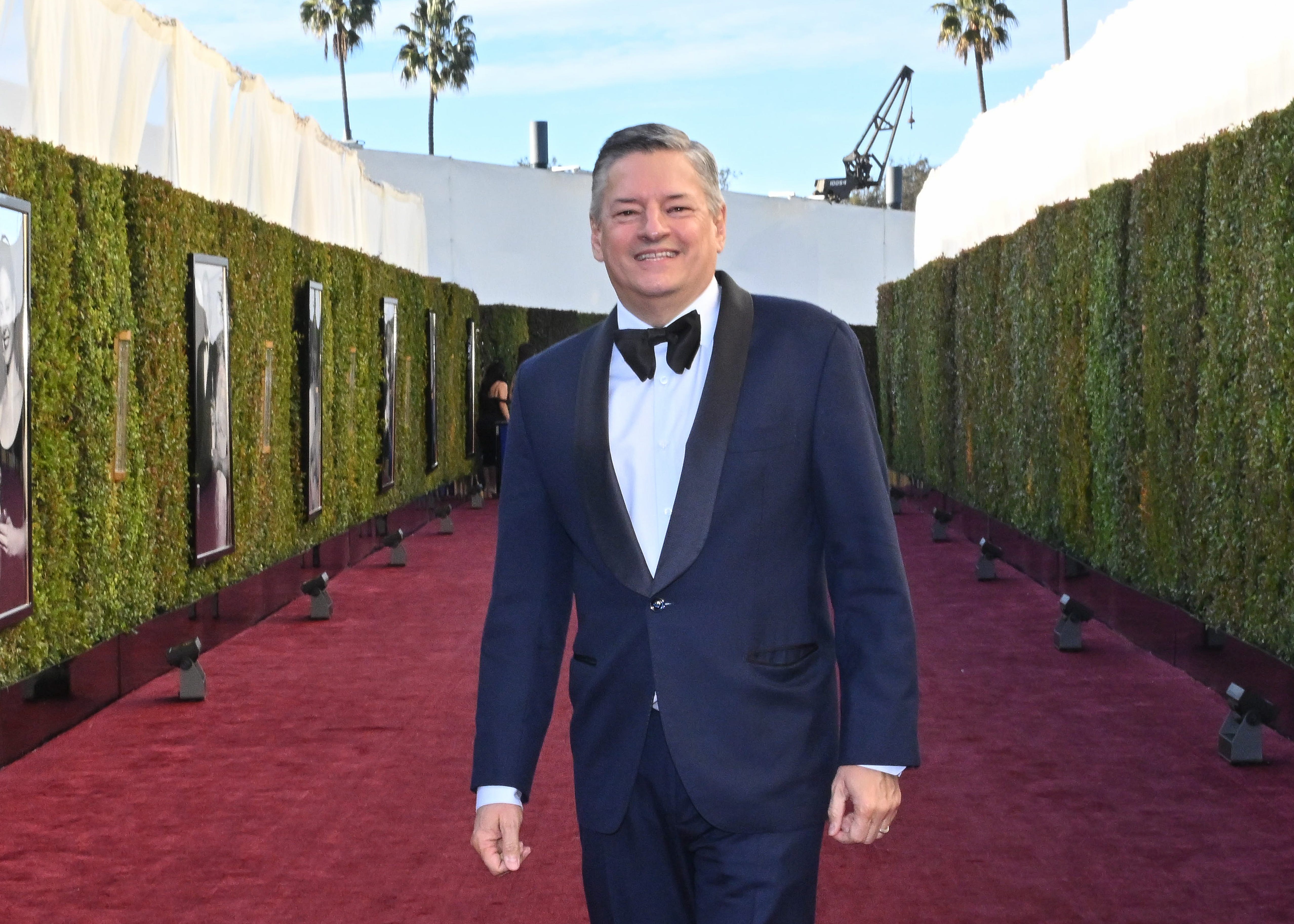 Co-CEO Ted Sarandos of Netflix stands in a red carpet.