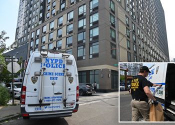 New Yorker, 23, raped at knifepoint by stranger in her apartment: cops