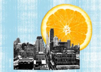 New Yorkers May Soon Be Grocery Guinea Pigs