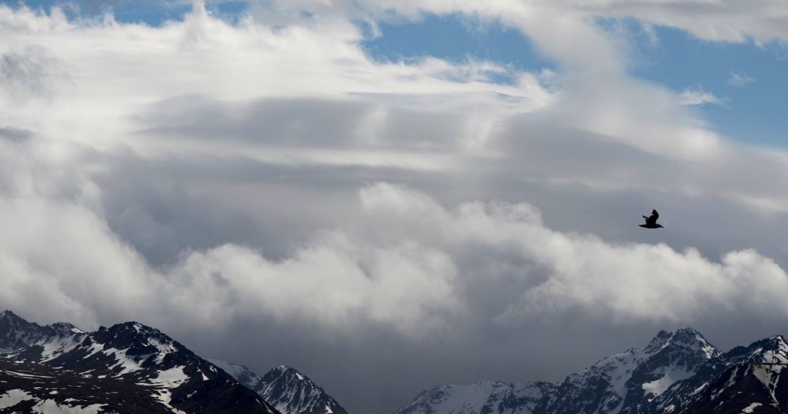 Officials search for bear that attacked a woman hiking on a popular Alaska trail