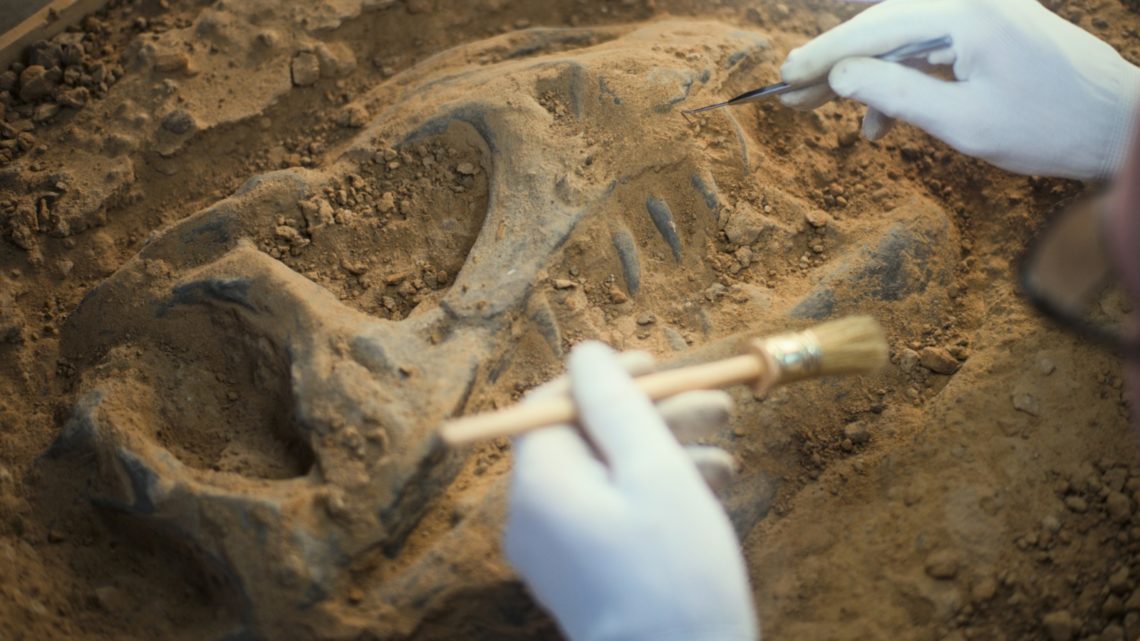 Scientists discovered a mystery dog-sized dinosaur in Colorado