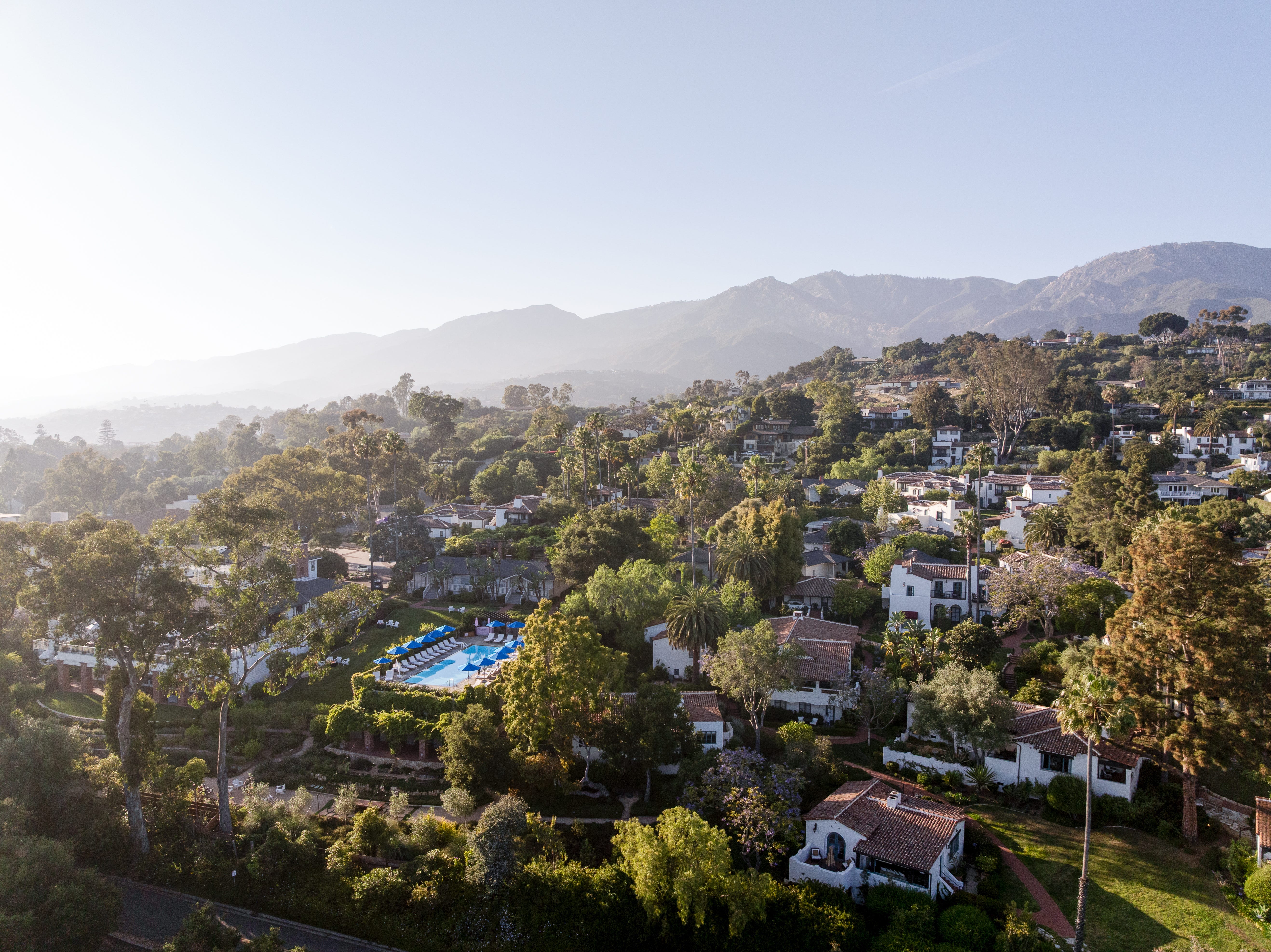 An aerial view of the hotel grounds covered in greenery.