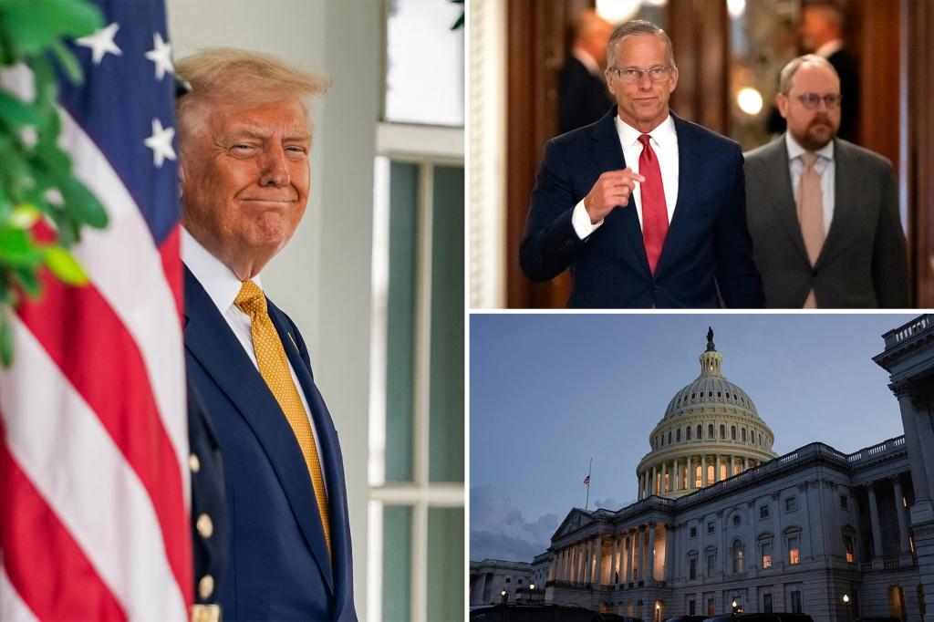 Senate Republicans ram through Trump’s $9B clawback package with cuts to foreign aid, NPR