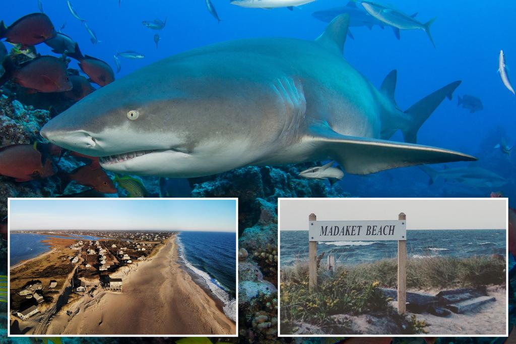 Shark bites beach fisherman who dragged thrashing predator back to water after catch