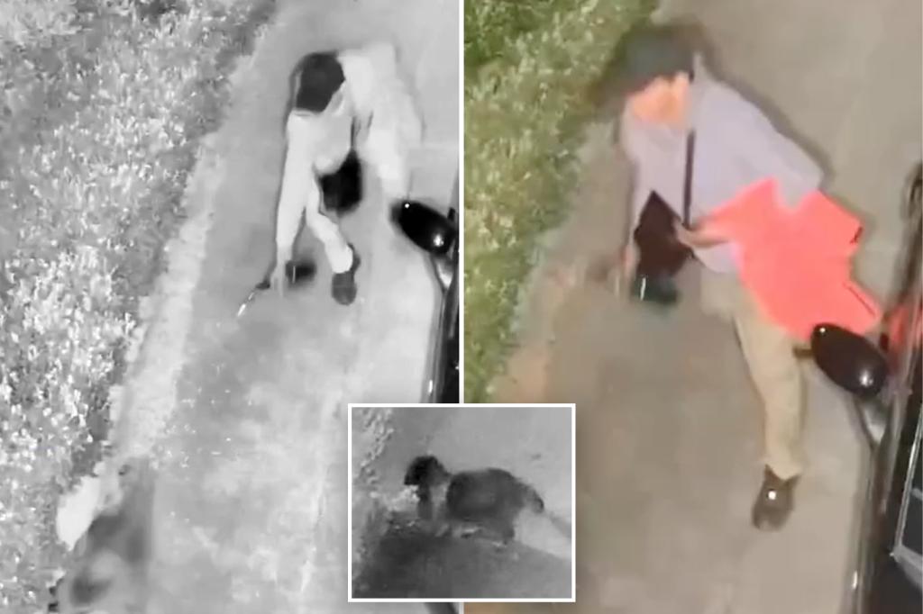 Sicko filmed chasing racoon and trying to light it on fire with a blowtorch