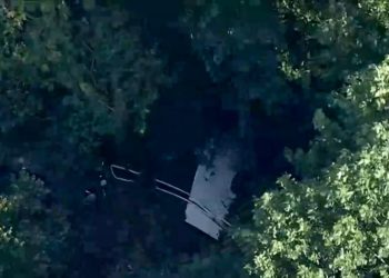 Skydiving plane goes off New Jersey runway into woods, sending 15 to hospital