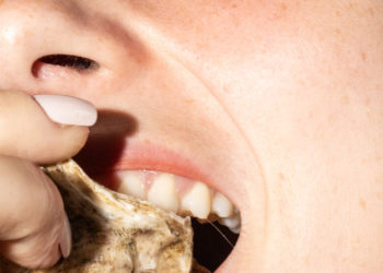 Slurping Toward Nirvana on the Maine Oyster Trail