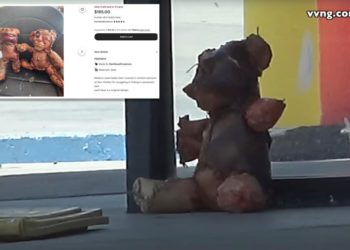Teddy bear purportedly wrapped in human skin left on California sidewalk, spooking locals and cops in twisted prank