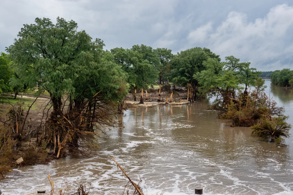 Flooded riverbank with uprooted trees.