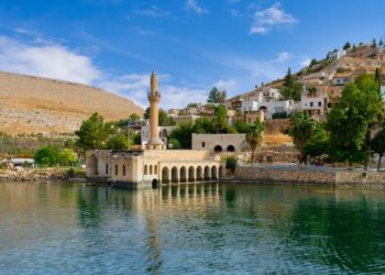 The underwater city where black roses bloom