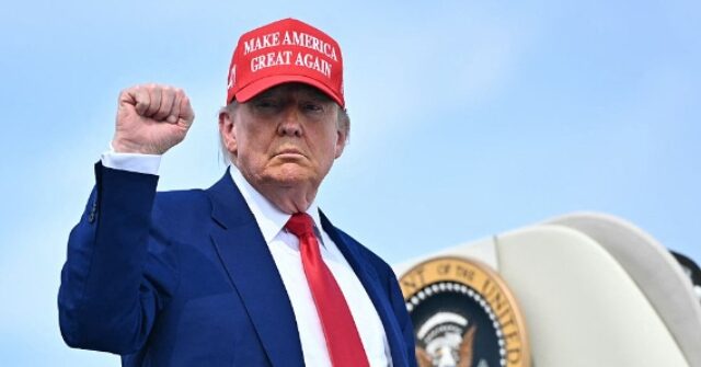 Trump Plans to Host UFC Fight at the White House for Nation’s 250th Birthday