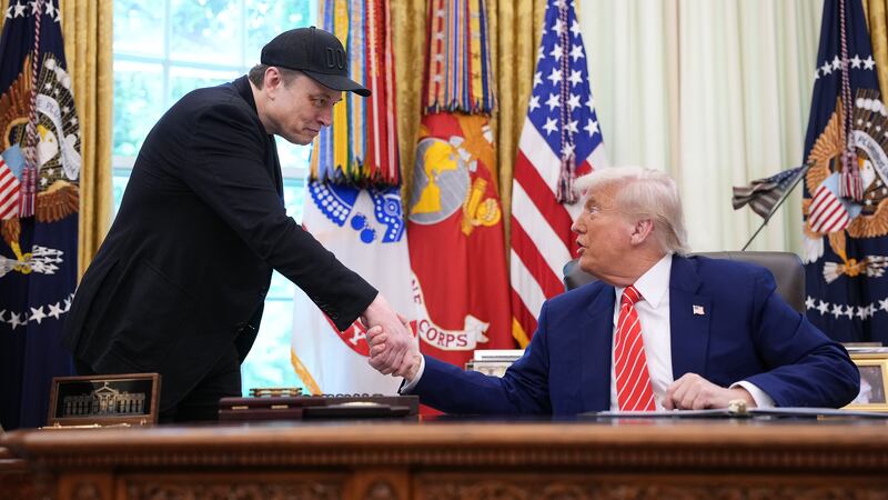 Elon Musk called himself Donald Trump's