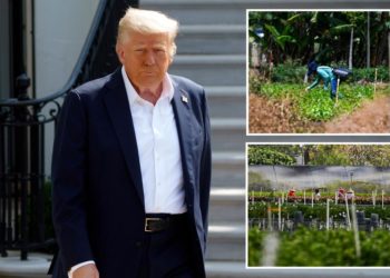 Trump offers new visa program for migrant workers after facing backlash from farmers: report