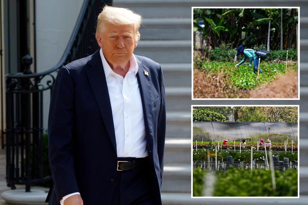 Trump offers new visa program for migrant workers after facing backlash from farmers: report