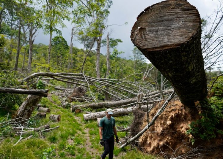 Thailand tsunami 2025 damage