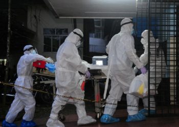 What is the Nipah virus and is it spreading in southern India?