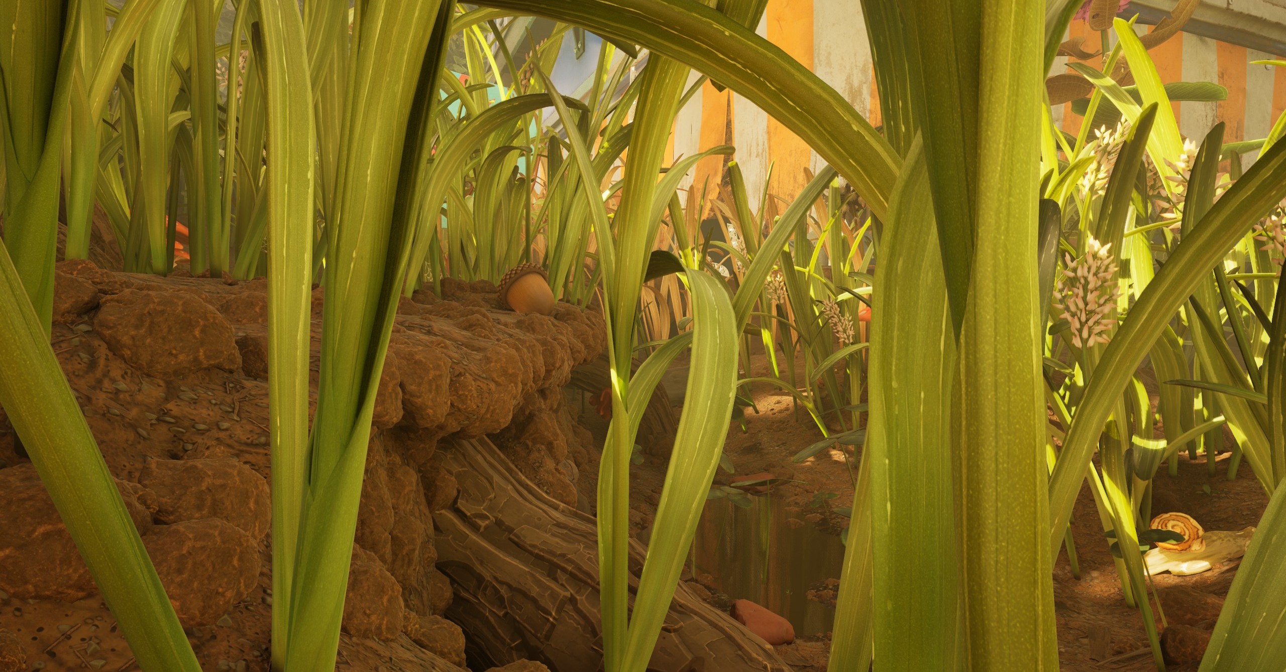 An acorn peeking out from a curtain of grass blades in Grounded 2