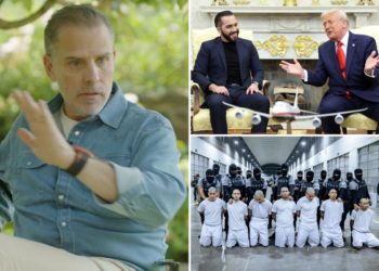 White House’s savage response as Hunter Biden drops 6 F-bombs in 30 seconds in rant about the border