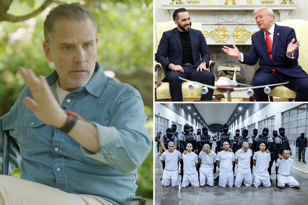 White House’s savage response as Hunter Biden drops 6 F-bombs in 30 seconds in rant about the border