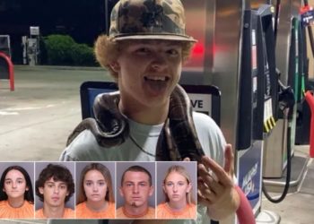 10th South Carolina teen expected to surrender to cops in murder of 16-year-old lured to his end and filmed dying: reports