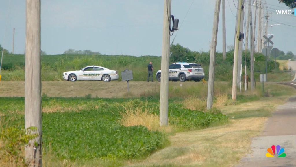Police cars at a crime scene.