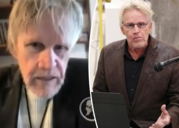 Gary Busey pleads guilty to sex crime: ‘It was not an accidental touching’