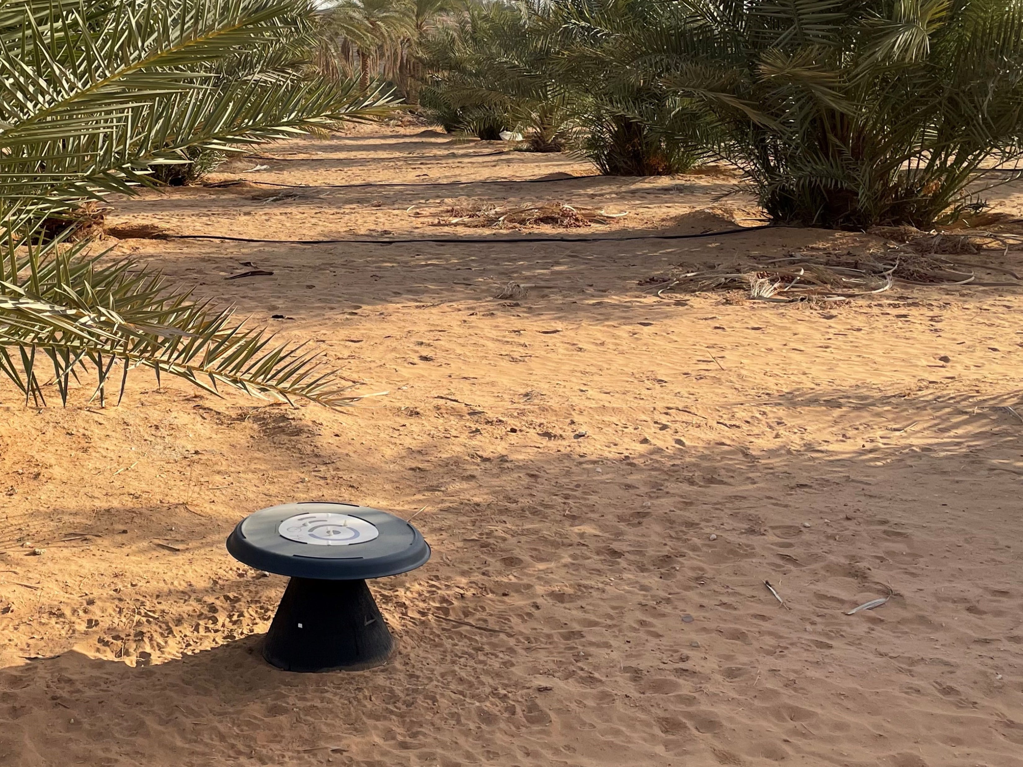 A Spotta sensor in the field