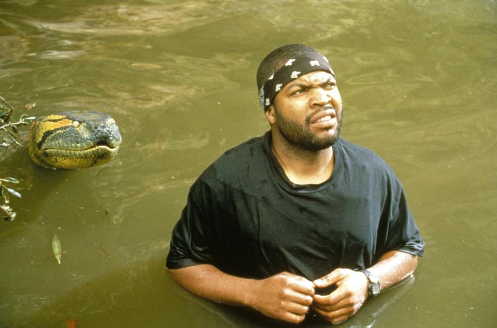 ice cube anaconda