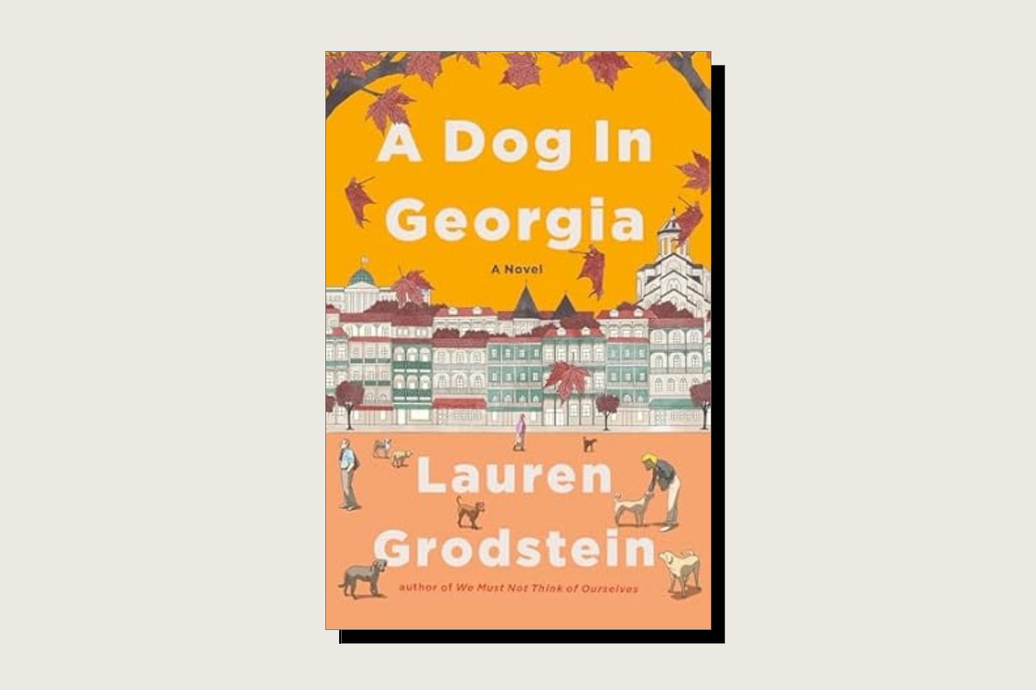 The book cover for A Dog in Georgia by Lauren Grodstein.