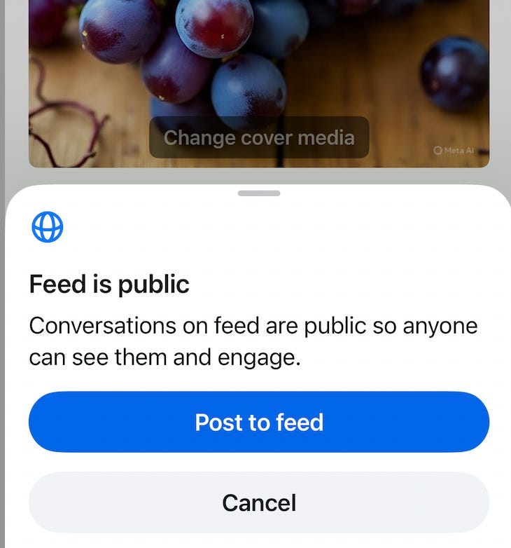meta ai app warning that feed is public