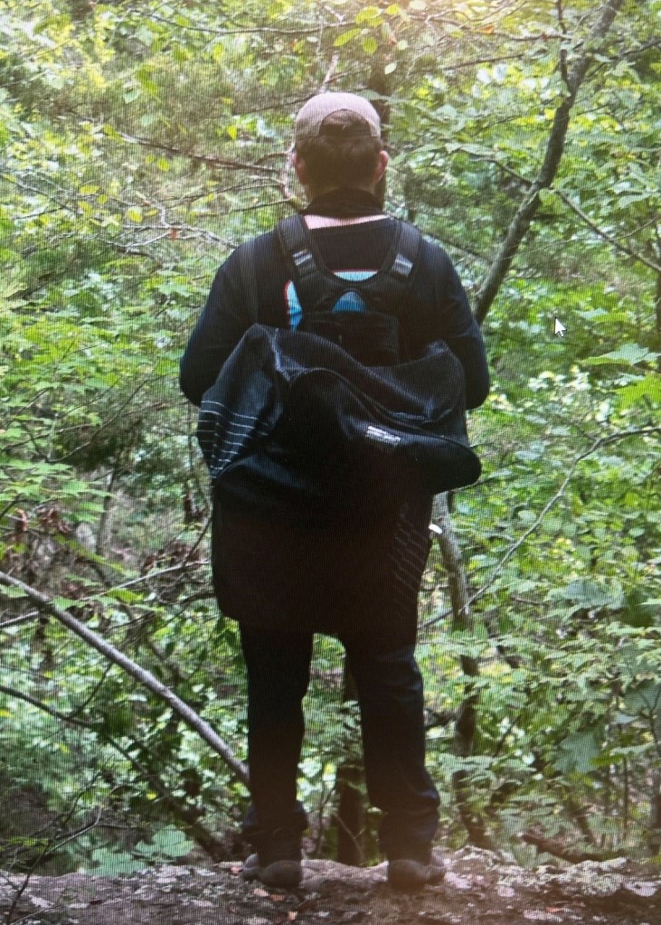 Person with backpack in woods.