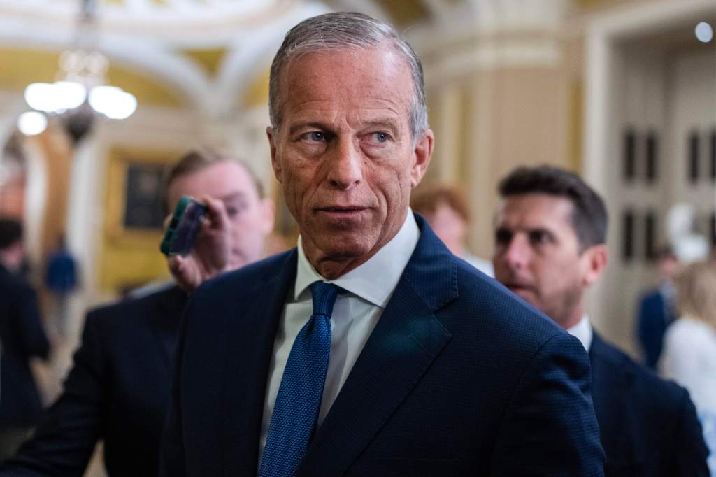 Senate Majority Leader John Thune at Senate luncheons.