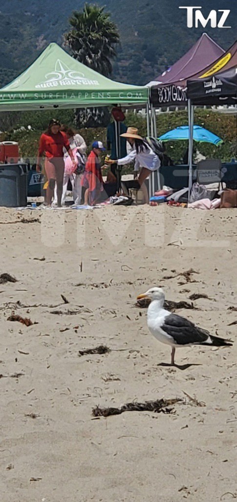 Prince Harry and Meghan Markle spotted on family beach outing as son Archie, 6, takes surf lessons. August, 2025