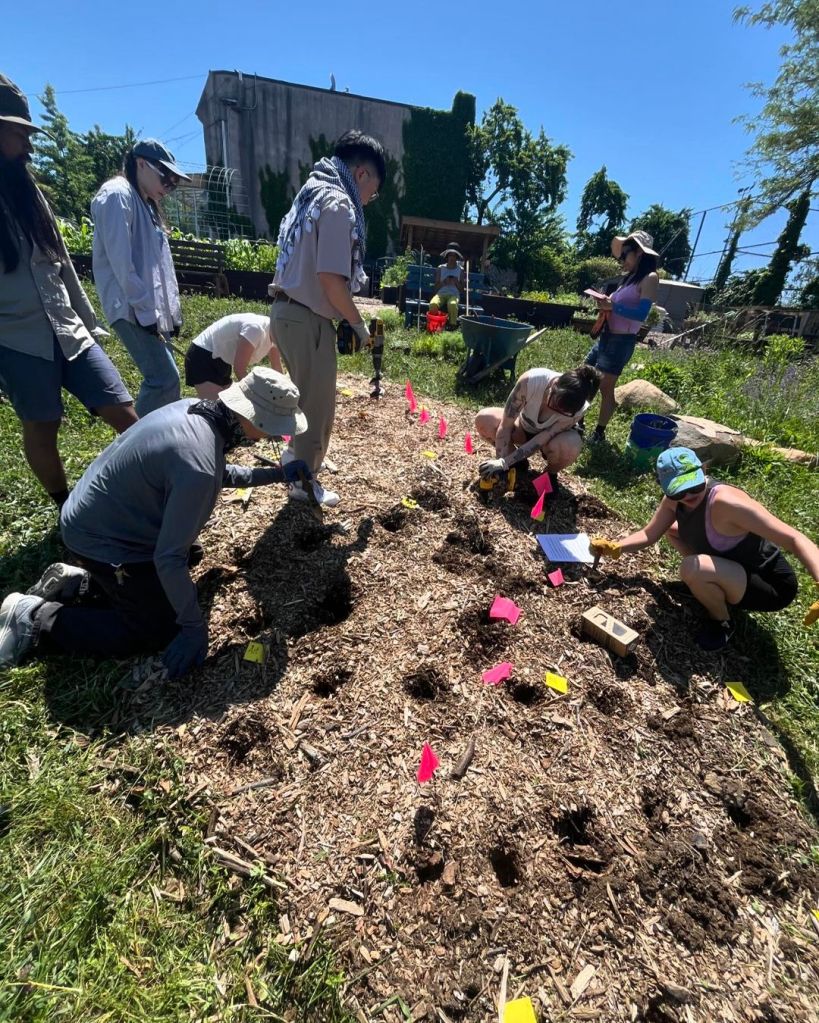 People planting in the garden
